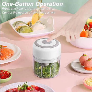 Electric Garlic Chopper – Mini USB