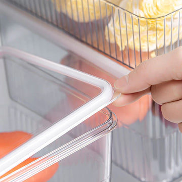 Transparent Fridge Organiser – Fresh Food Storage Container - Yui's Kitchen